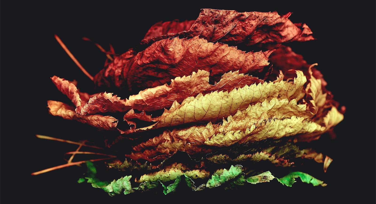 Photograph for tailored:systems, Information Technology & Services business in Bolton